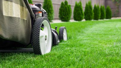Lawn Care and Maintenance!